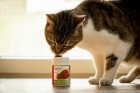 Hund Katze B.A.R.F. Nahrungsergänzungen Snacks Fleisch-Gewürz 20g 1 Stück -5- Anifit